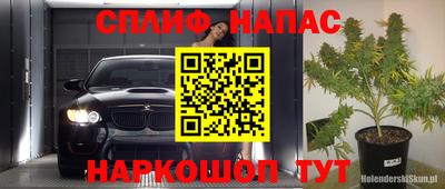 СК Тула