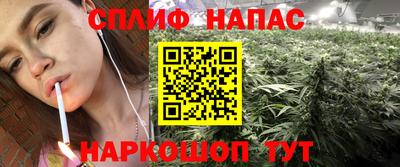 PSILOCYBIN Туймазы