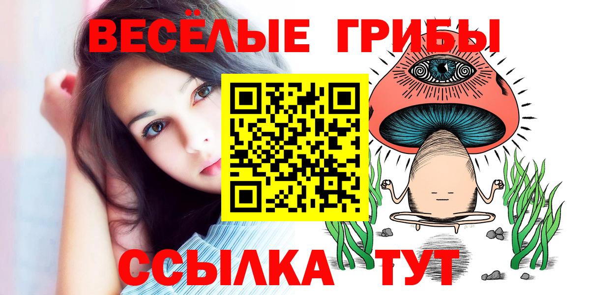 Тула  Псилоцибиновые грибы мухоморы  Вход с VPN  Псилоцибиновые грибы GOLDEN TEACHER 